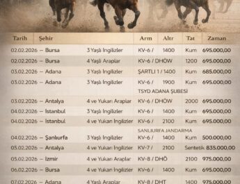 Yeni Haftanın Yarış Programı