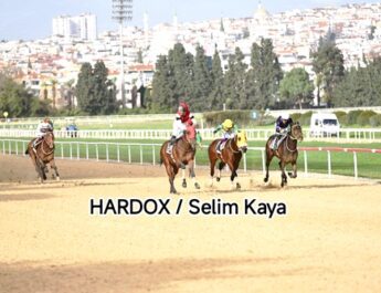 Son Sözü HARDOX Söyledi !