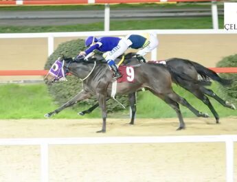 LYARA Kazanmaya Devam Ediyor !