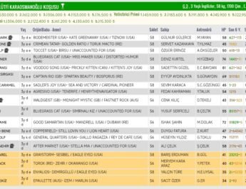 G3 / Fevzi Lütfü Karaosmanoğlu Koşusu