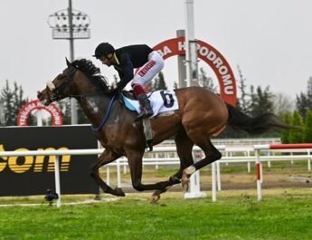 MASSIMO SUPREMO’dan Beyaz Bayrak Ayna!