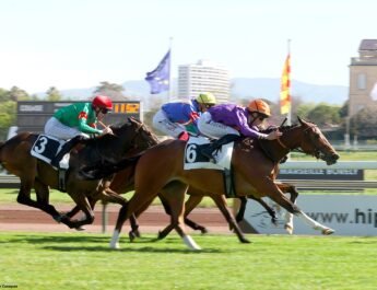 TEXAS Aygırlık Kariyerine Güzel Başladı !