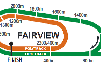 16.10 / Fairview Tahminleri