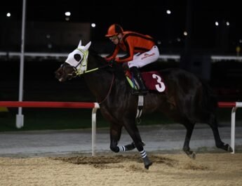 SERCAN BEY Seriye Devam Etti !