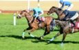 GOLD FLOWER’dan Bitirici Sprint !
