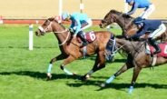 GOLD FLOWER’dan Bitirici Sprint !