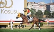 100. Gazi Koşusu Galibi BAY NALÇAKAN !