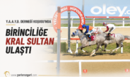 Kral Sultan, Y.A.A.Y.D. Derneği Koşusu’nu Kazandı