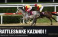 RATTLESNAKE by General Quarters