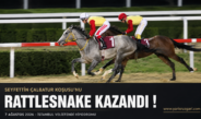 RATTLESNAKE by General Quarters