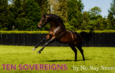 TEN SOVEREIGNS İçin Güzel Gün !