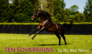 TEN SOVEREIGNS İçin Güzel Gün !