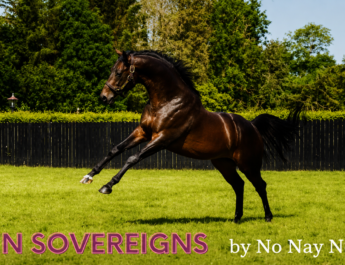 TEN SOVEREIGNS İçin Güzel Gün !