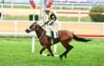 Mimar Sinan Koşusu’nda zafere Brando ulaştı