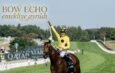 Super Star BOW ECHO Emekliye Ayrıldı !