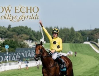 Super Star BOW ECHO Emekliye Ayrıldı !