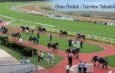 30.09 / Fairview Tahminleri