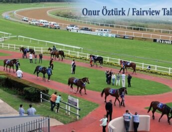 30.09 / Fairview Tahminleri