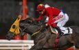 ROCK OF BEAUTIFUL / G2 (D)