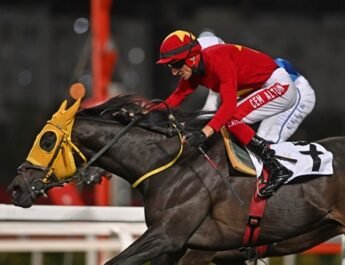 ROCK OF BEAUTIFUL / G2 (D)