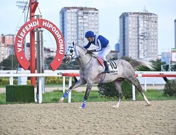 ÖZMEN BEY & G1 Serisi Devam Ediyor !